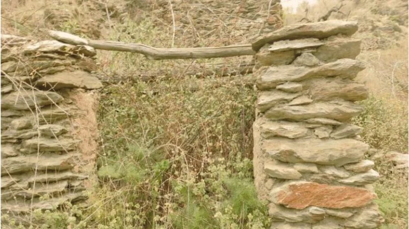 chorreon de pitres