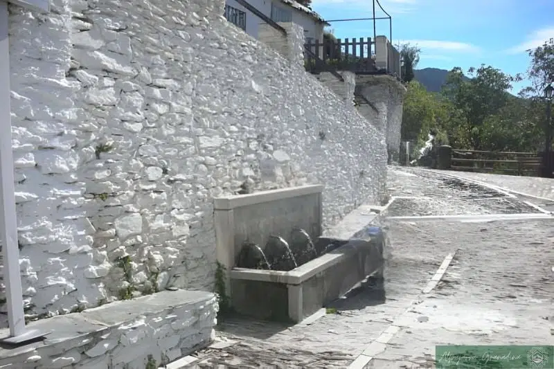 Fuente Hondera capileira