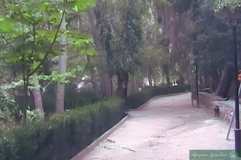 el parque del salado