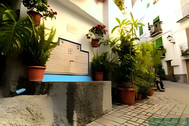 Placeta de Santa Ana