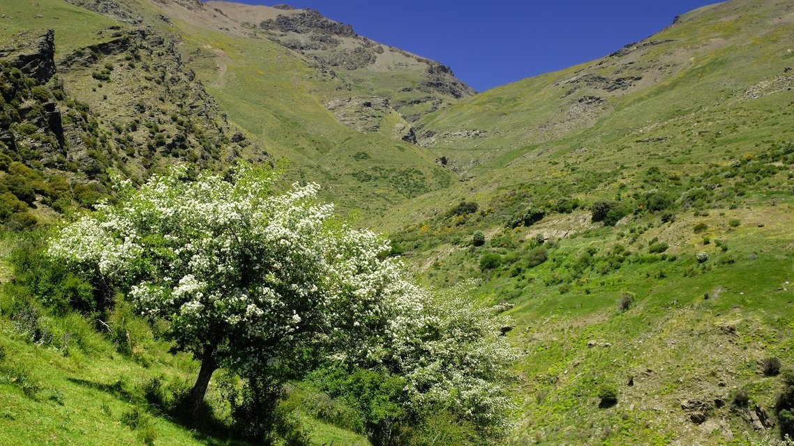 Ruta Circular del Agua